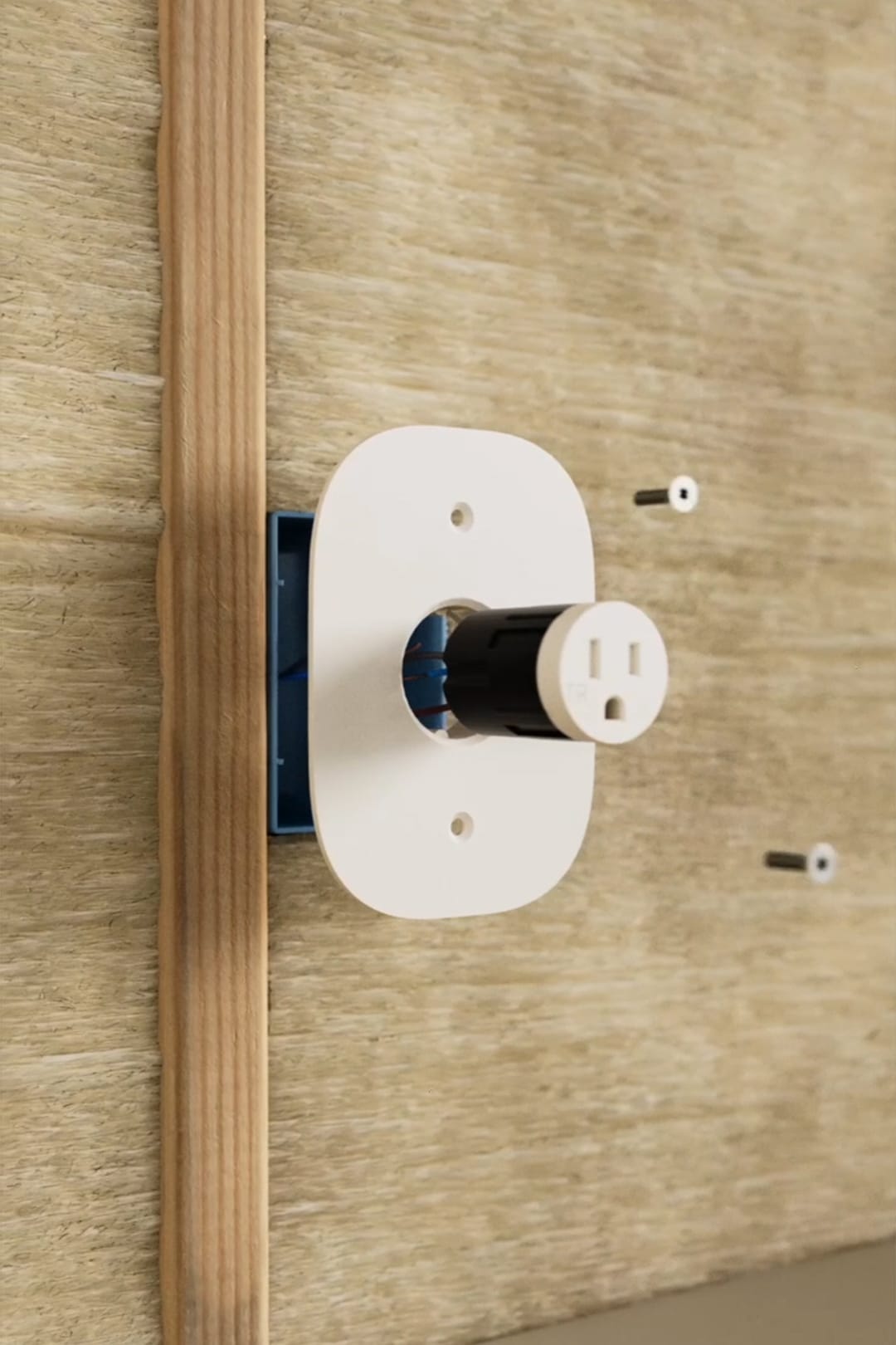 Creative Direction, Asset Creation & Animation