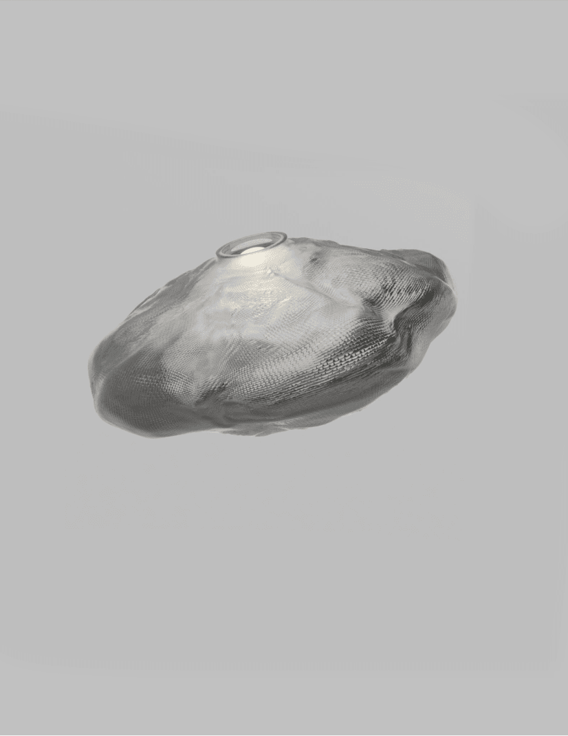 MANDATORY ATTENDANCE CULTURE ASSET